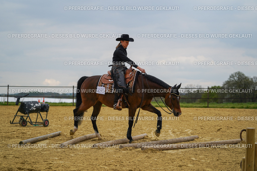 DSC07728 | Pferdegrafie