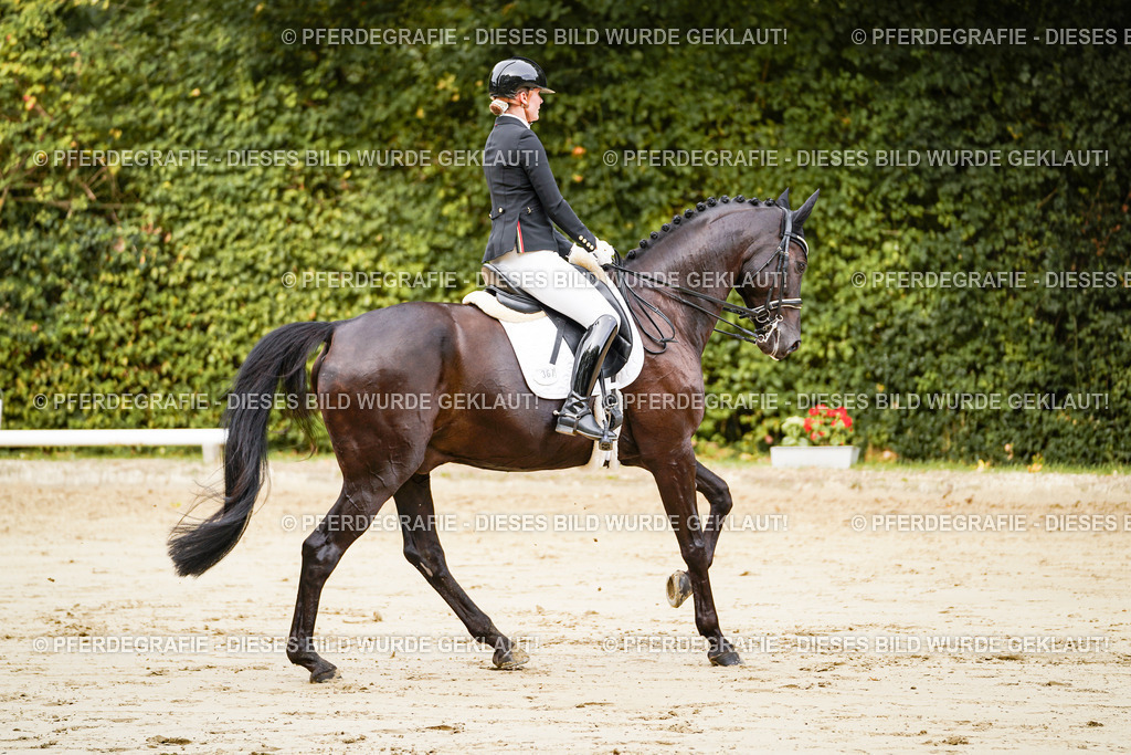 DSC02282 | Pferdegrafie