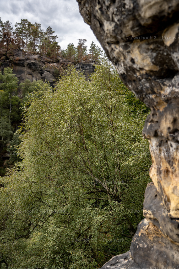 Frienstein_Idagrotte_Baumkrone_Felswand_Verwitterung | 2022-09-02_Waldbrandgebiete_2 - Realisiert mit Pictrs.com