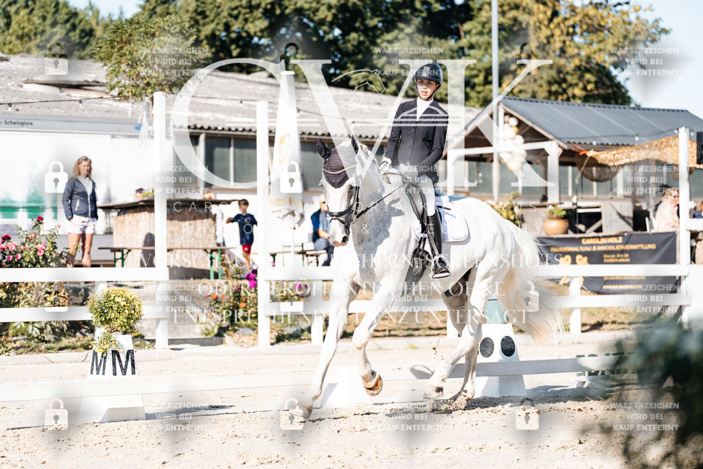 CK907560 | Turnierfotografie Pferdefotografie Trier Rheinland-Pfalz Pferdesport Reitsport Tierfotografie Sportfotografie Pferdevideo Pferdevideografie Equestrianvideography equestrianphotography  - Realisiert mit Pictrs.com