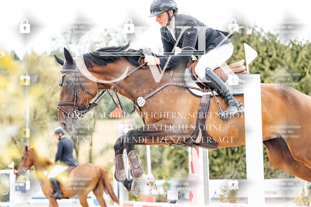 CK909386 | Turnierfotografie Pferdefotografie Trier Rheinland-Pfalz Pferdesport Reitsport Tierfotografie Sportfotografie Pferdevideo Pferdevideografie Equestrianvideography equestrianphotography  - Realisiert mit Pictrs.com