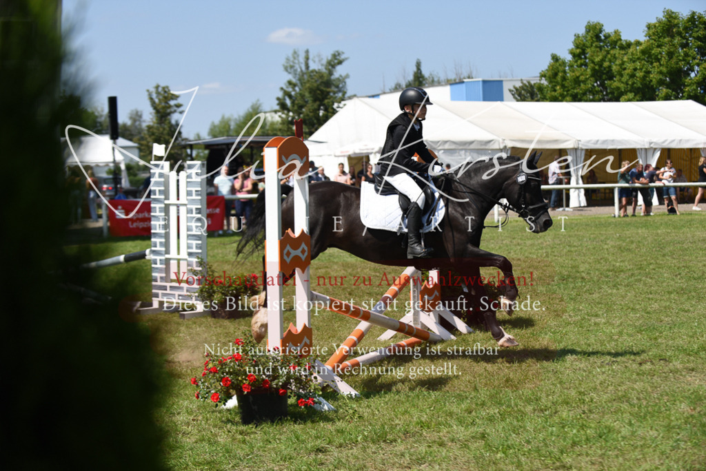 DSC_9890 | Pferde- und Turnierfotografie in Westsachsen. Pferdeportraits, Auftragszeichnungen und intuitive Kunst.