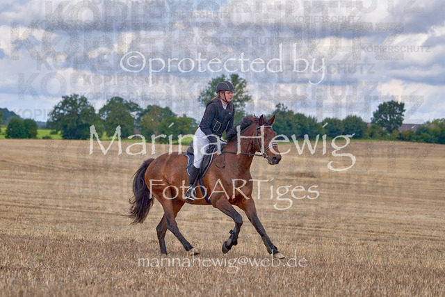 08-23 Bredeneek Jagd_MCH8918_Marina Hewig | Fotografie, FotoArt, PferdesportArt, Pferdesportfotografie, Landschaftsfotografie, Reisefotografie, Reise, Pferde - Realisiert mit Pictrs.com