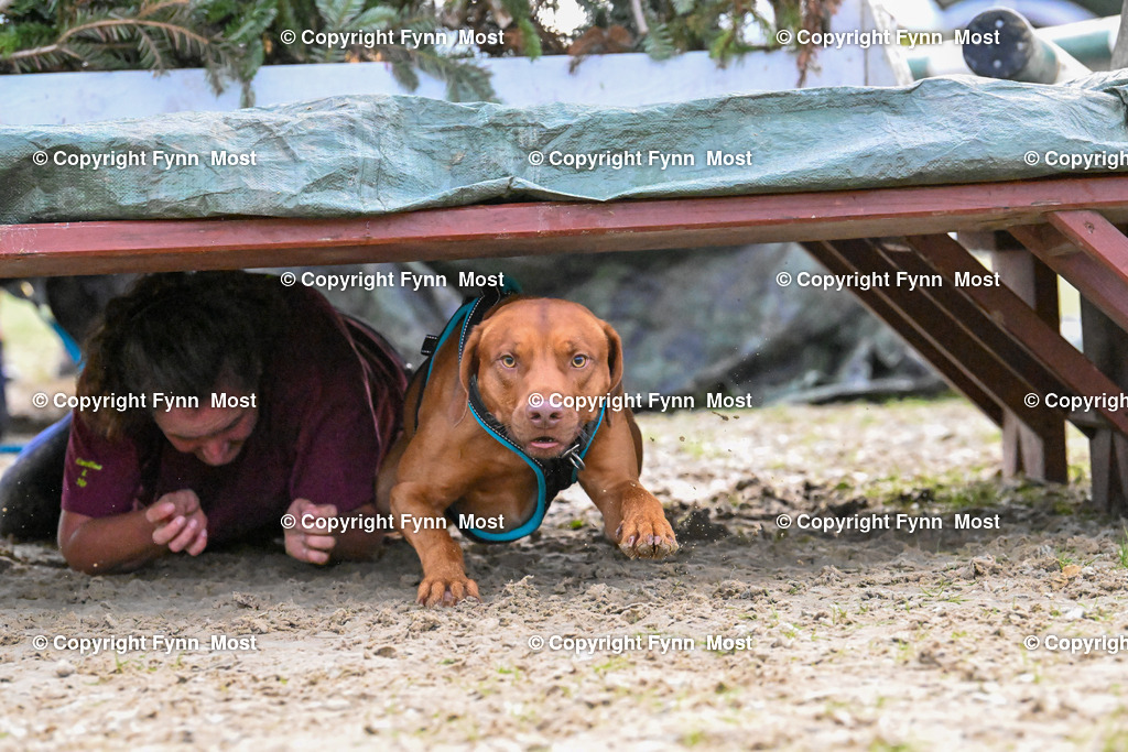 DSC_4330 | Hallo und herzlich Willkommen auf meiner Shop-Seite Fynn Most.

Ich wünsche Dir viel Spaß beim stöbern durch die Bilder, wenn Du Fragen hast oder Bilder vermisst, kannst du mir gerne eine Nachricht schreiben. - Realisiert mit Pictrs.com