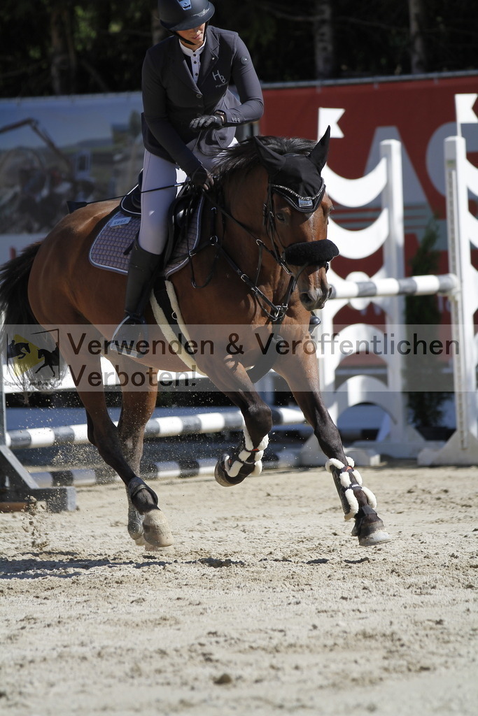 _MG_4595 | equestrian-live-com