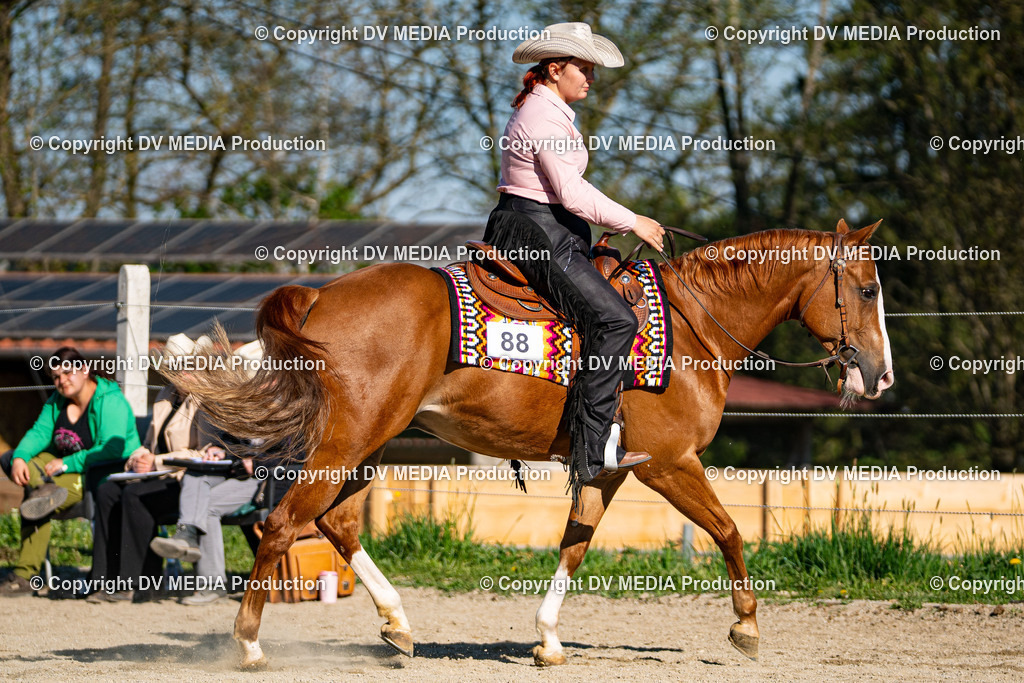 Balingen Tag 1-857 | dv-media-shop - Realisiert mit Pictrs.com