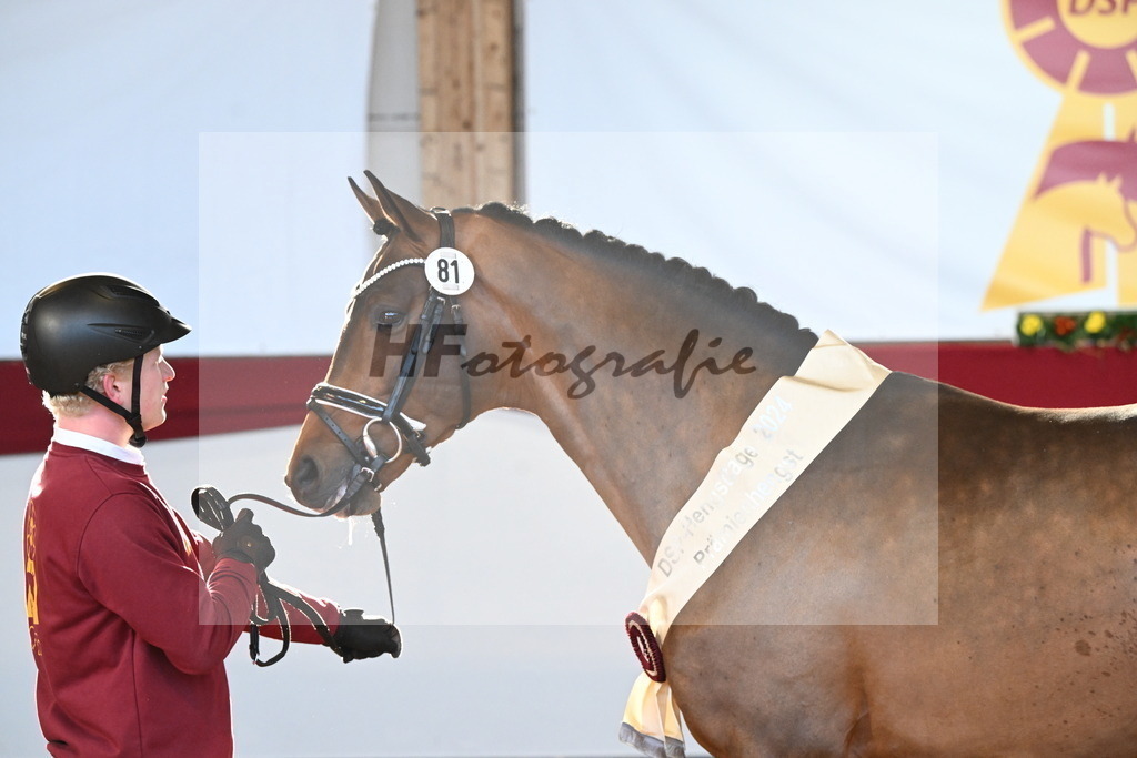 Kat.-Nr. 81 v. Vivino_Freisel_2242921 | hf-fotografie - Realisiert mit Pictrs.com