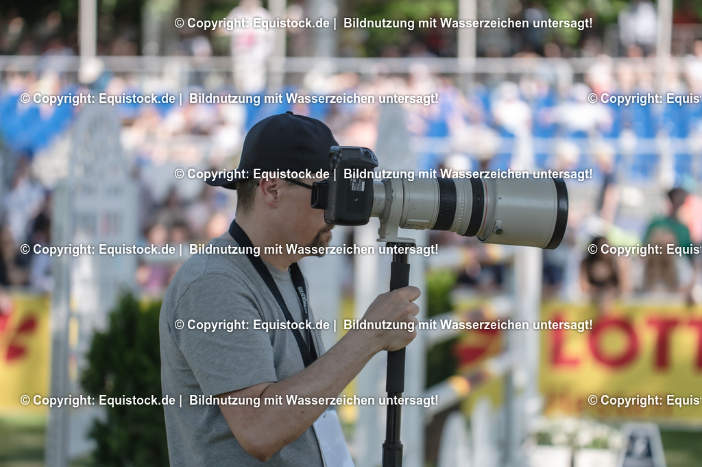 DSC_1206 | equistock