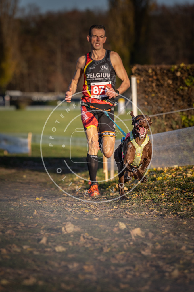 CaniXpix_DV3A4262 | Hundefotografie, Tierfotograf, Pfotenfotografie, Fotoshooting Hund, Hunde Portrait, Hundesport, Hundeportraits, Heideshooting, Hunde, Sportfotograf, Hundefotograf, Turnierhundsport, THS,  - Realisiert mit Pictrs.com