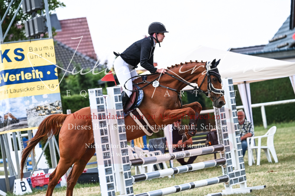 DSC_9098 | Pferde- und Turnierfotografie in Westsachsen. Pferdeportraits, Auftragszeichnungen und intuitive Kunst.