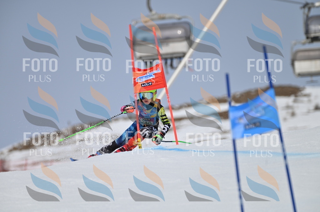 BGV_4904 | holidayphoto