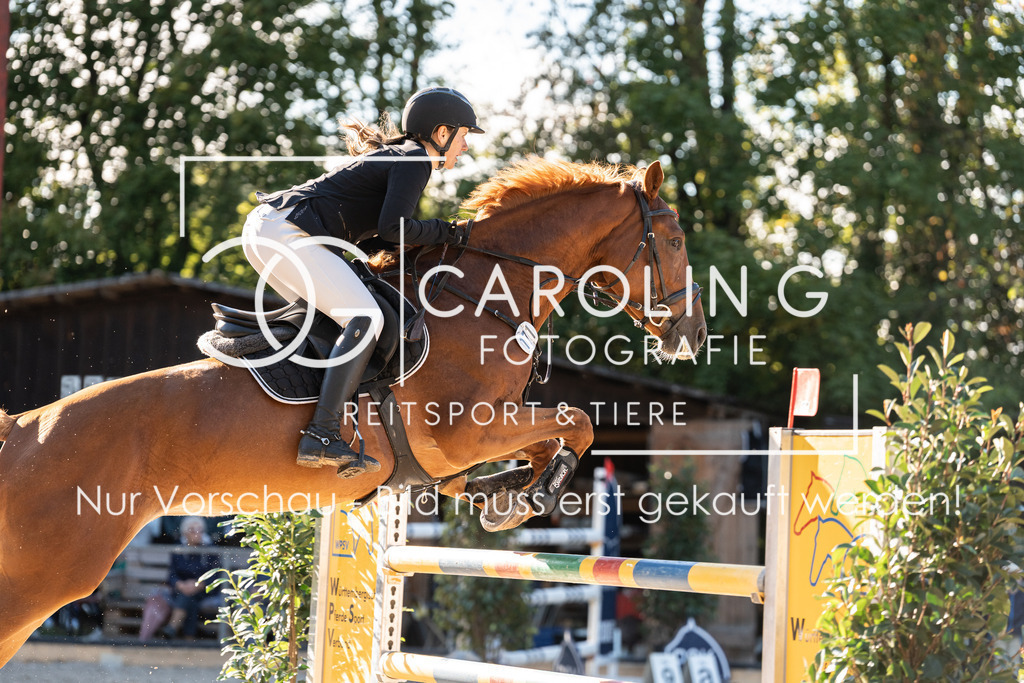 DSC04451 | Turnierfotografin Carolin Gieschke, Turnierfotografie Carolin G Fotografie, Turnierfotos Kirchheim/Teck, Esslingen, Stuttgart, Bodenseekreis