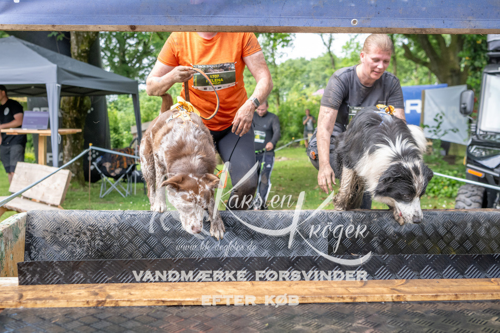 1036_ZZ91453 | kk-dogfotos