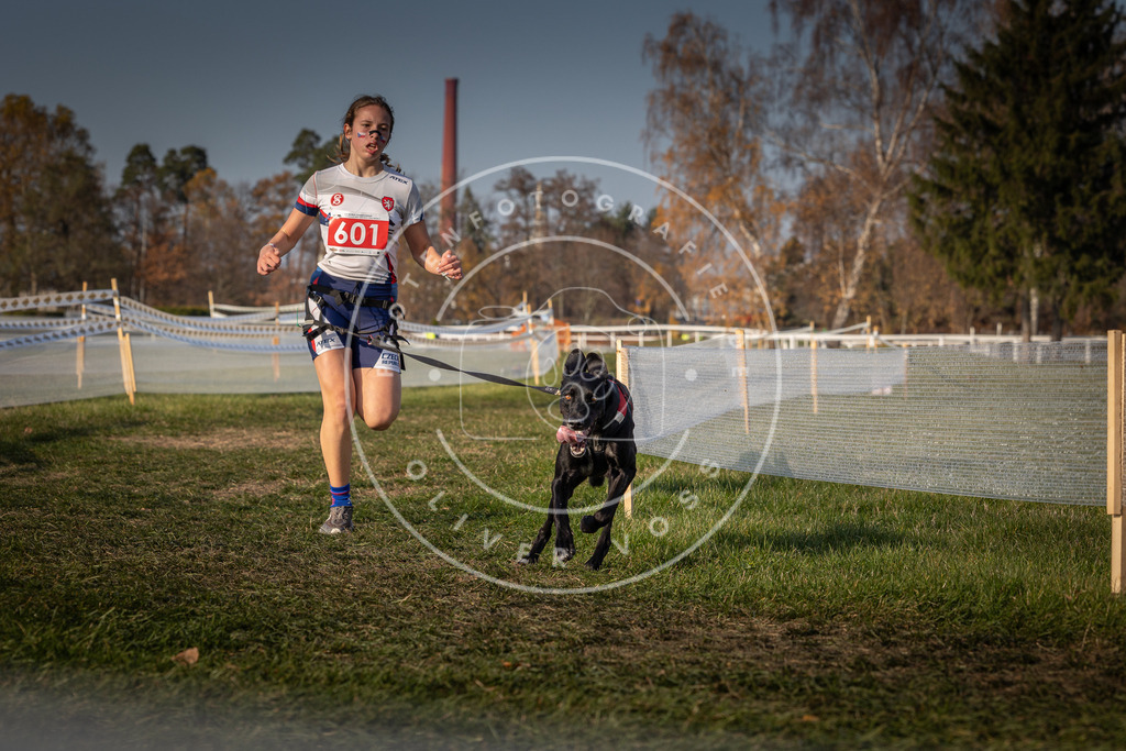 CaniXpix_0L8A0022 | Hundefotografie, Tierfotograf, Pfotenfotografie, Fotoshooting Hund, Hunde Portrait, Hundesport, Hundeportraits, Heideshooting, Hunde, Sportfotograf, Hundefotograf, Turnierhundsport, THS,  - Realisiert mit Pictrs.com