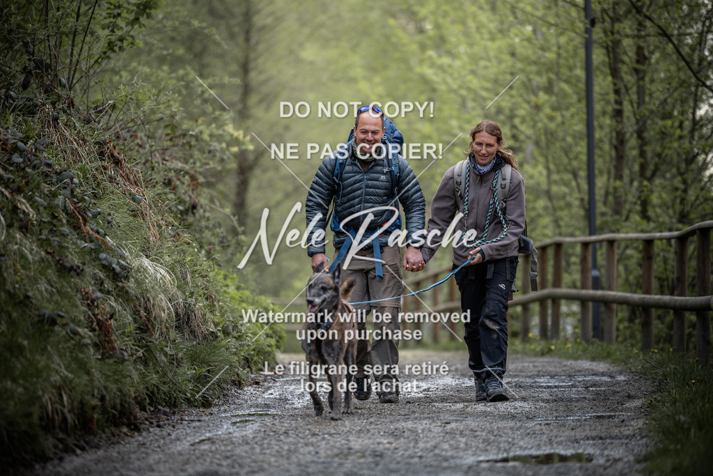 nelerasche_TheGame2026_SaCampEinlauf_249 | nelerasche
