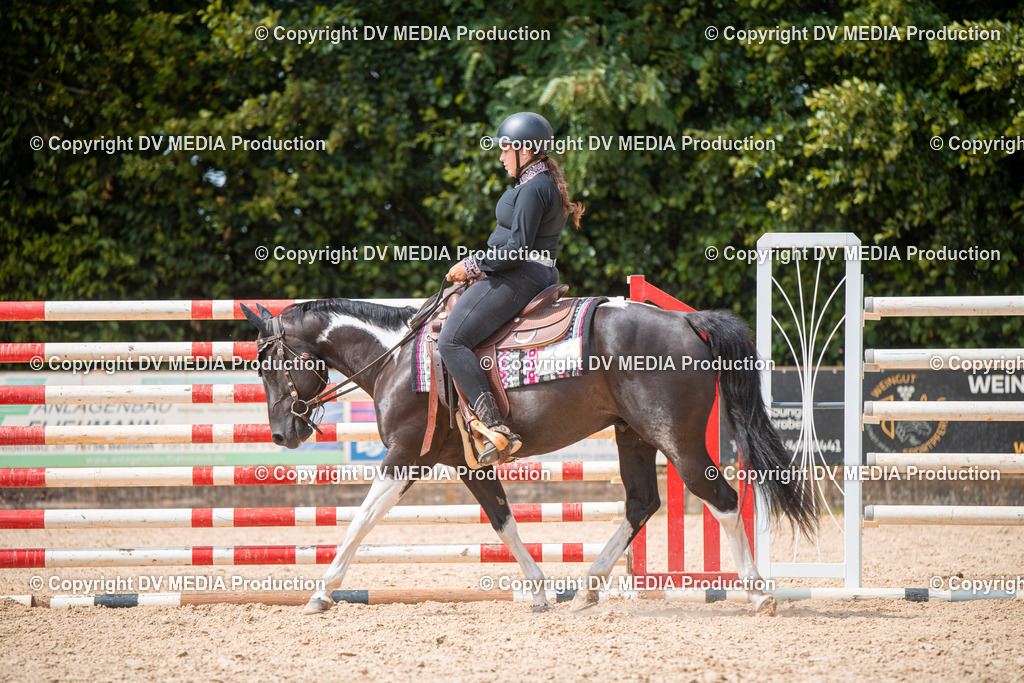 EWP_6698 | dv-media-shop - Realisiert mit Pictrs.com