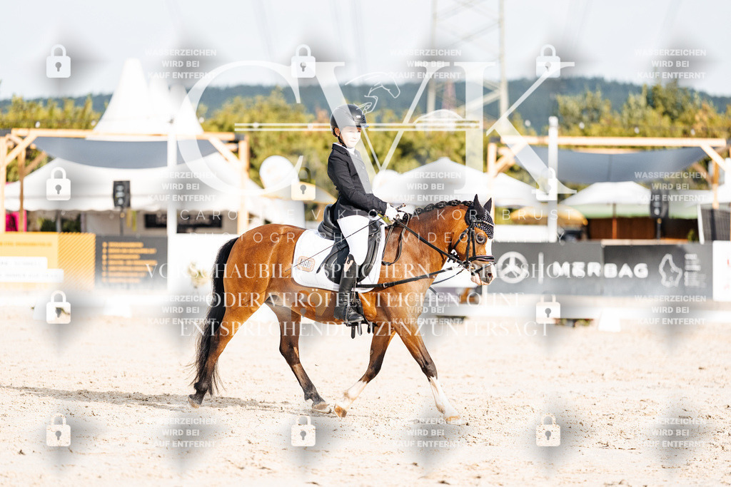 CK904213 | Turnierfotografie Pferdefotografie Trier Rheinland-Pfalz Pferdesport Reitsport Tierfotografie Sportfotografie Pferdevideo Pferdevideografie Equestrianvideography equestrianphotography  - Realisiert mit Pictrs.com