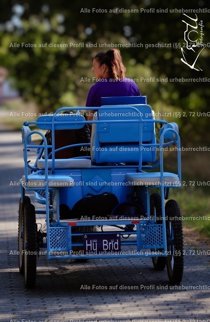 Photo_1727027257582 | krollfotografie - Realisiert mit Pictrs.com