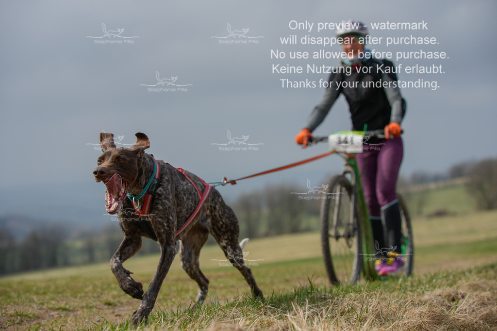 ScooterSA-211 | stephaniefillaphotographie - Realisiert mit Pictrs.com