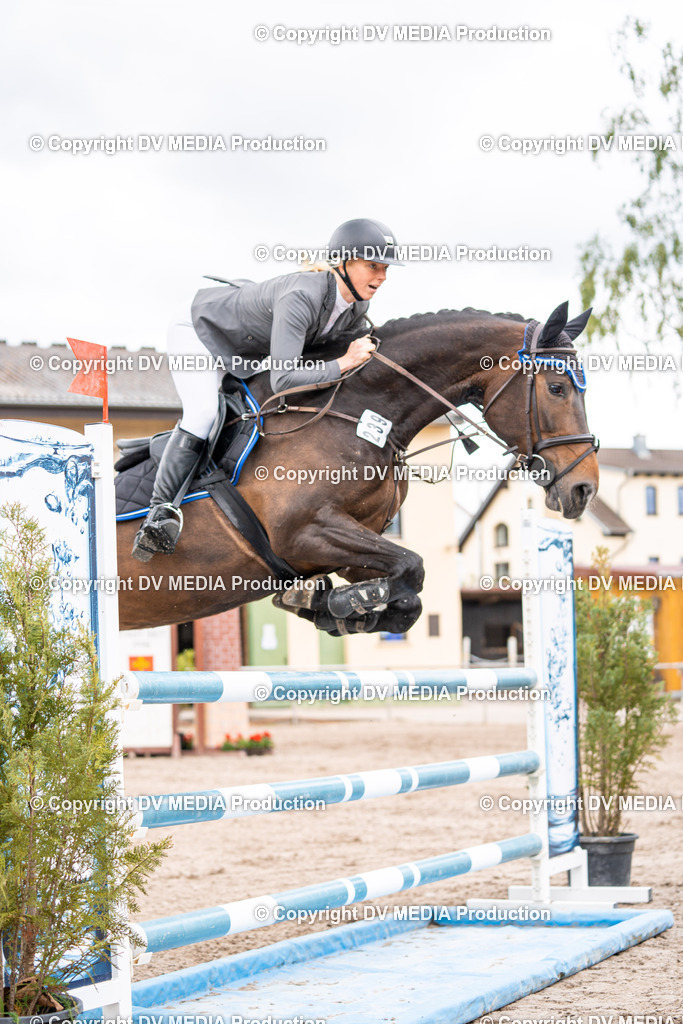 Eppelheim Tag 1-115 | dv-media-shop - Realisiert mit Pictrs.com