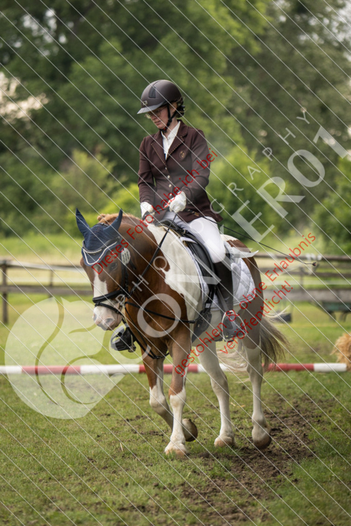 IMG_8496 | Sport-, Event- und Tierfotos in Profiqualität. Einfach auswählen, bestellen und herunterladen. Dein Moment – perfekt festgehalten.