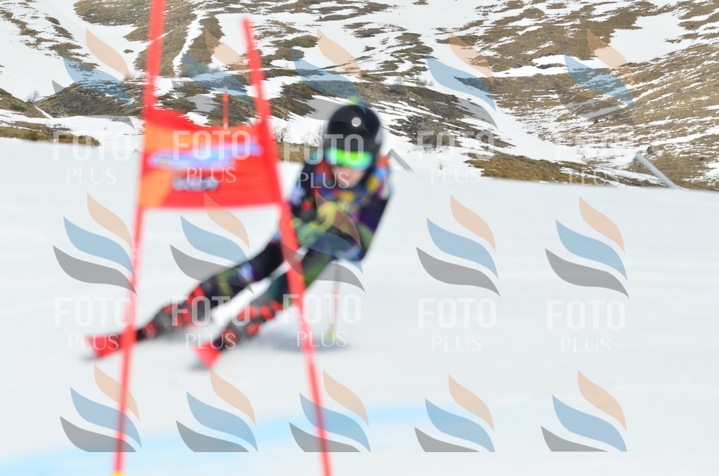 _ELE2639 | holidayphoto