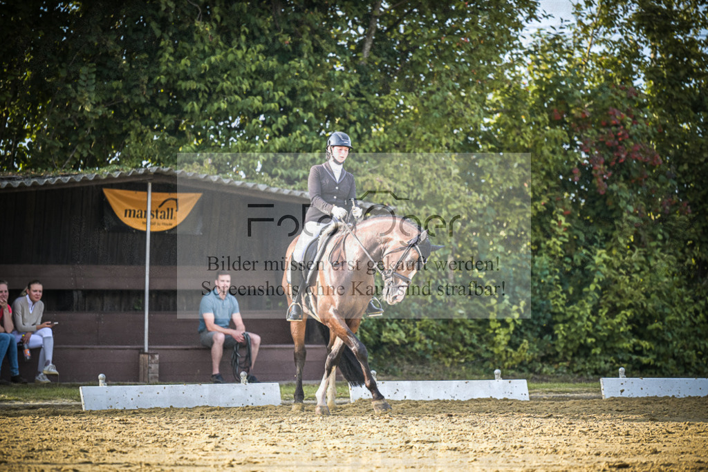 DOS_1698 | Entdecke hochwertige Reitturnierfotos von Foto Oger. Professionell, emotional und authentisch – jetzt Lieblingsmomente im Shop bestellen.Deutschlandweite Turnierfotografie. - Realisiert mit Pictrs.com