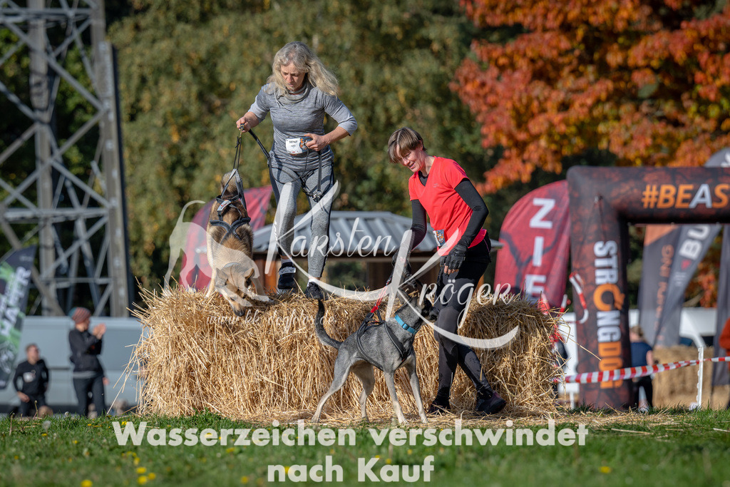 1030_ZZ90695 | kk-dogfotos