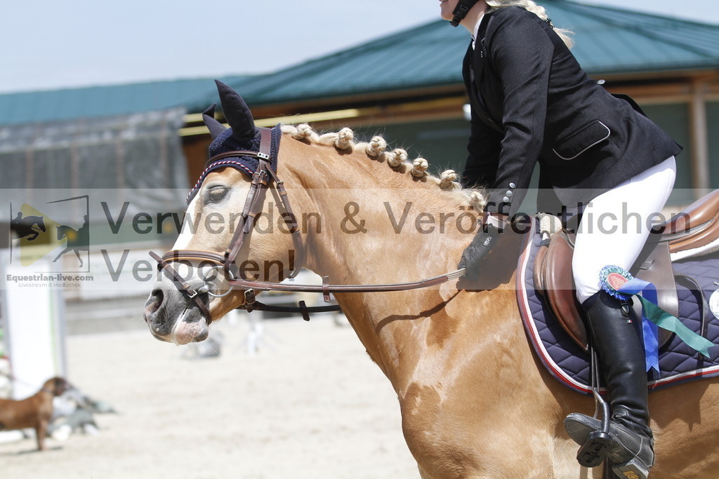 _MG_6642 | equestrian-live-com