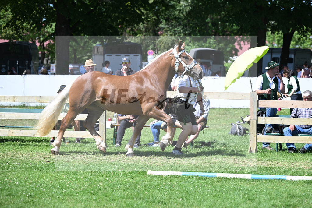 Kat-Nr. 71 Tinka v. Vitus_Fech_18251230 | hf-fotografie - Realizzato con Pictrs.com