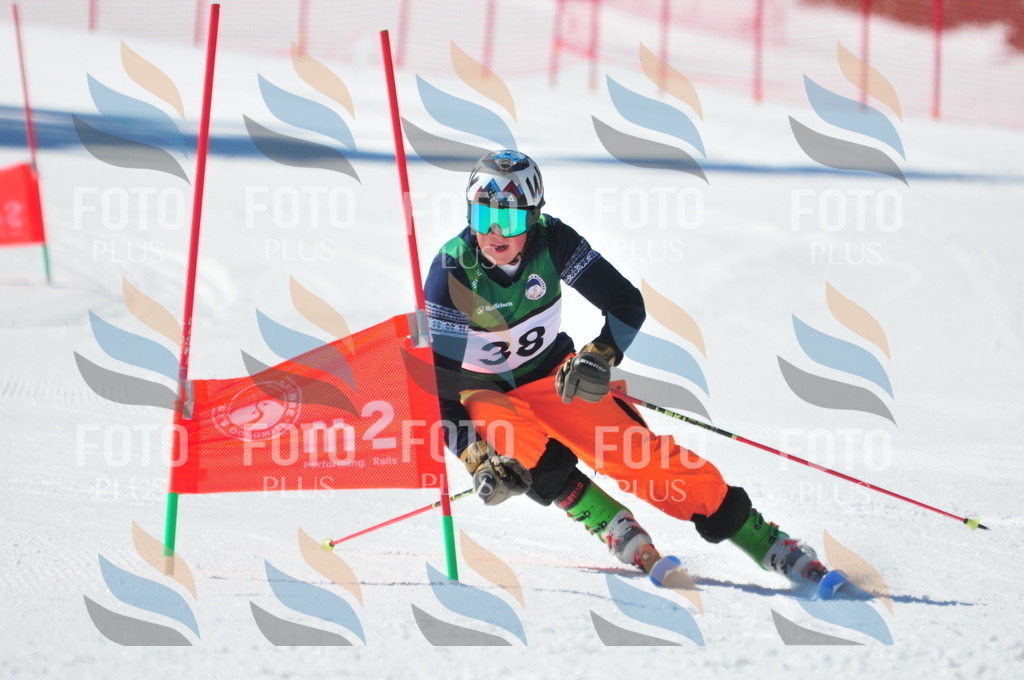 C3570 | holidayphoto