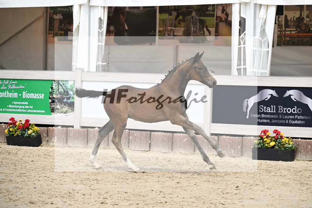 St. Emilion x Zoom_SF_Braig u Meyer_12250631 | hf-fotografie - Realisiert mit Pictrs.com