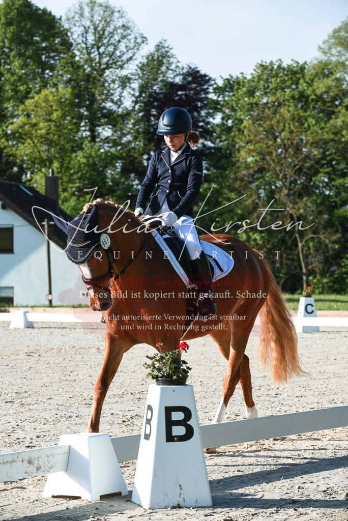 20230518_JK-Röhrsdorf-09-0236 | Pferde- und Turnierfotografie in Westsachsen. Pferdeportraits, Auftragszeichnungen und intuitive Kunst.
