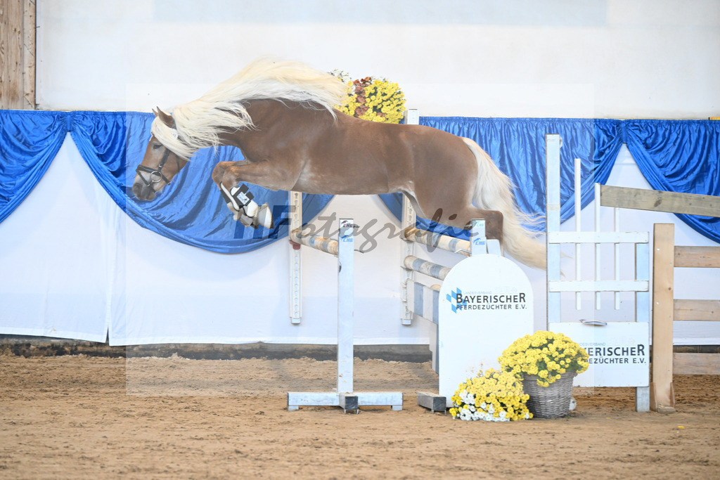 Kat-Nr. 20 nn v. Nakuri_Linder_48250410 | hf-fotografie - Realisiert mit Pictrs.com