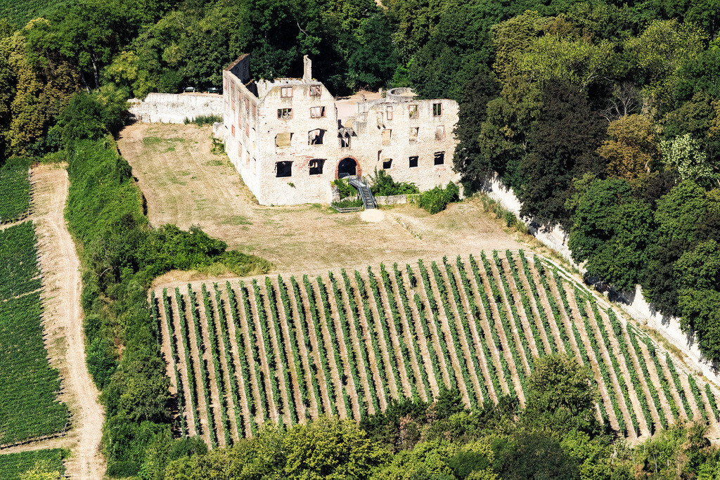 dr__0010940.jpg | OPPENHEIM 18.07.2018 Burganlage der Veste Landskron in Oppenheim im Bundesland Rheinland-Pfalz, Deutschland. // Castle of the fortress Landskron in Oppenheim in the state Rhineland-Palatinate, Germany. Foto: Daniel Reiter