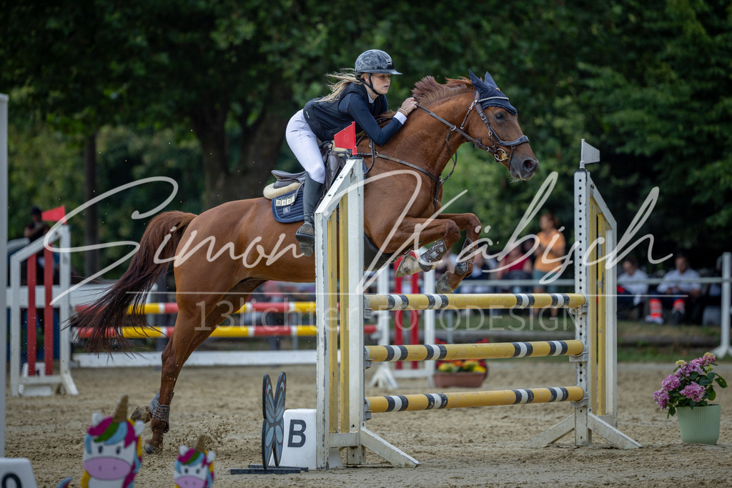 20260704-_3LI1718 | Tierfotografie Pferde, Hunde, Katzen, Haustiere.
Turnierfotografie Reitturniere, Reiten, Springreiten, Dressur in Hanau, dem Main-Kinzig-Kreis und dem Rhein-Main- Gebiet um Frankfurt