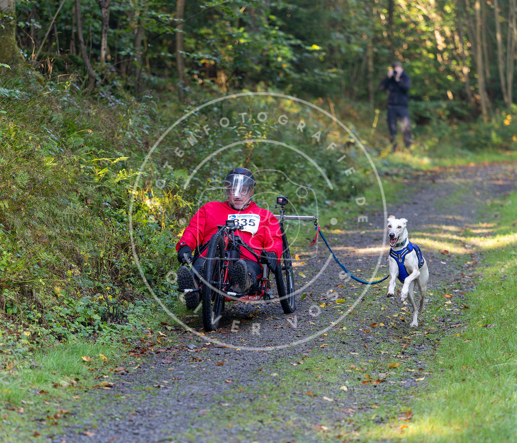 Pfotenfotografie_DV3A7921 | Hundefotografie, Tierfotograf, Pfotenfotografie, Fotoshooting Hund, Hunde Portrait, Hundesport, Hundeportraits, Heideshooting, Hunde, Sportfotograf, Hundefotograf, Turnierhundsport, THS,  - Realisiert mit Pictrs.com