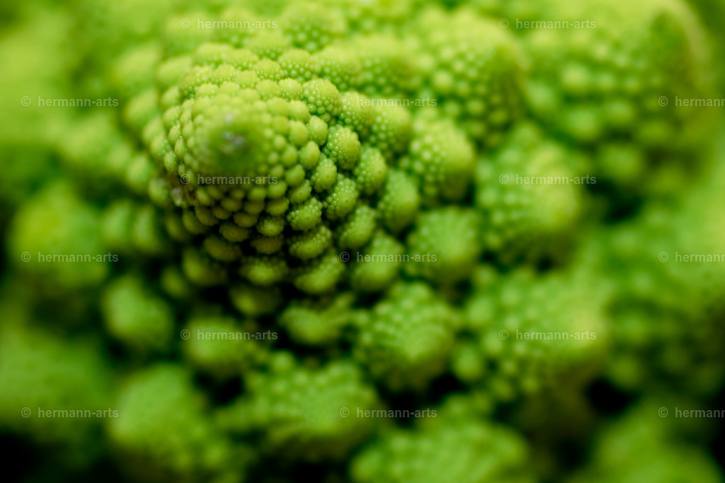 Fruits-Art-015 | Photo Foto Kunst Art schwarzweiss Bilder Rheine Münster Berlin Blumen 