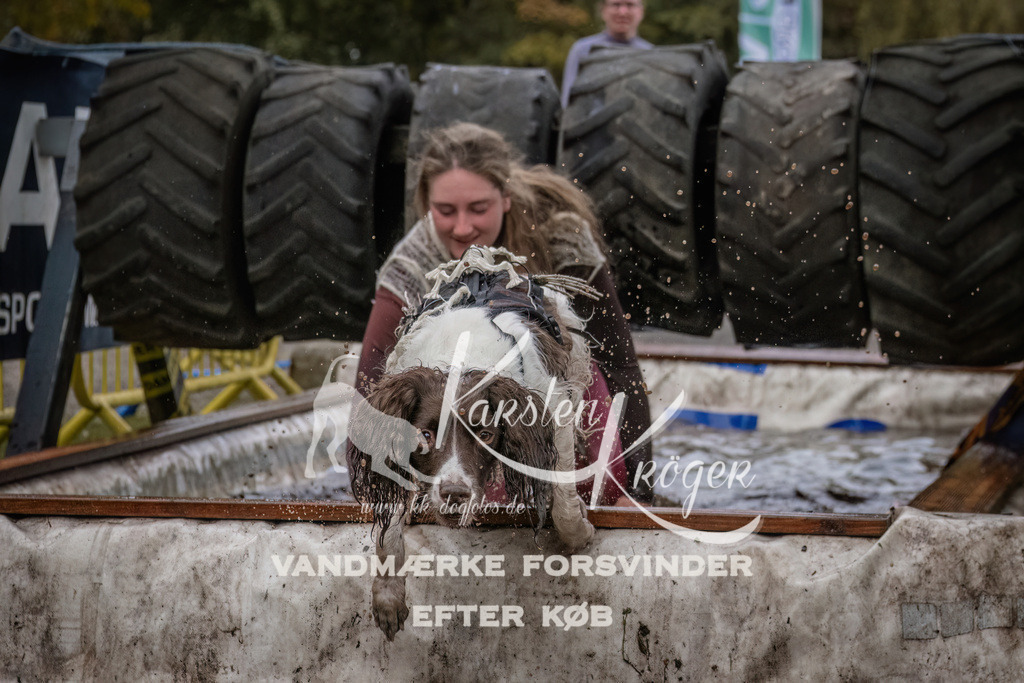 1629_ZZ93620 | kk-dogfotos