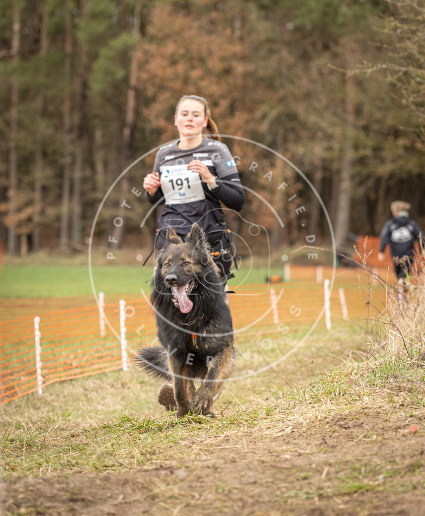DV3A2698 | Hundefotografie, Tierfotograf, Pfotenfotografie, Fotoshooting Hund, Hunde Portrait, Hundesport, Hundeportraits, Heideshooting, Hunde, Sportfotograf, Hundefotograf, Turnierhundsport, THS,  - Realisiert mit Pictrs.com