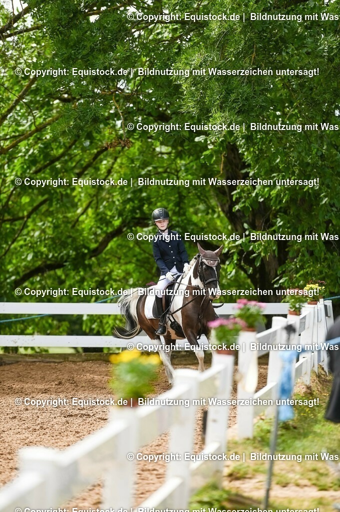 20230716_10-2_Reiter-WB Schritt - Trab - Galopp_0159 | equistock