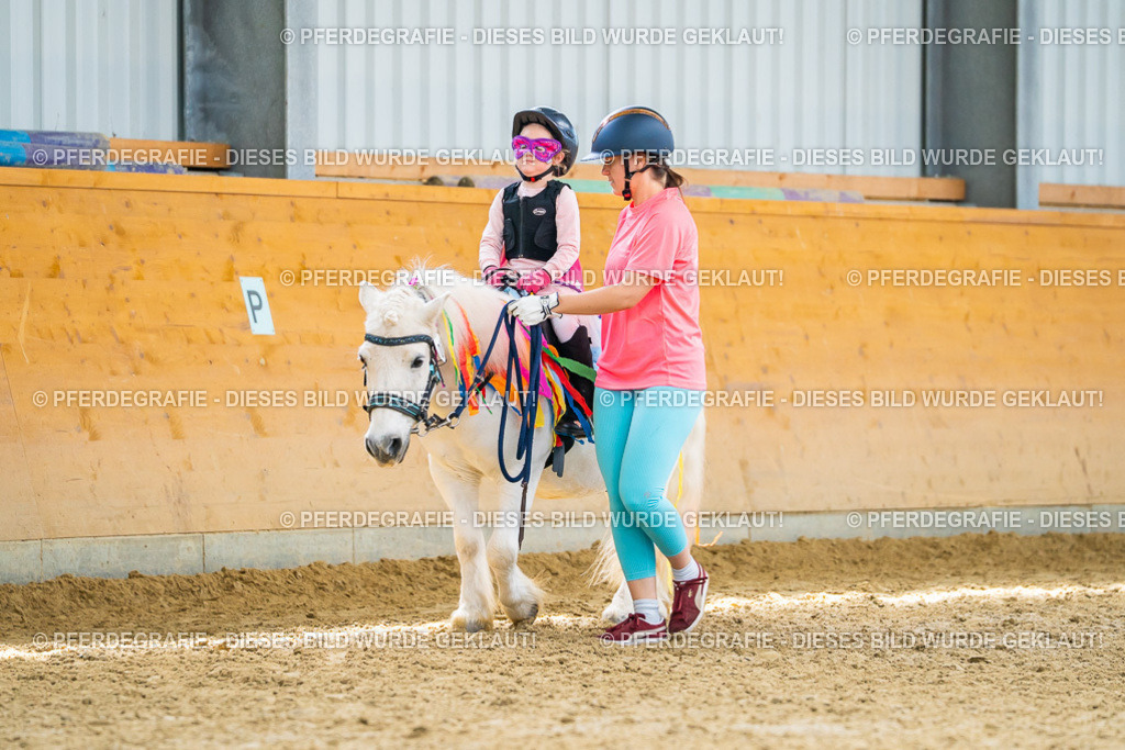 DSC00039 | Pferdegrafie