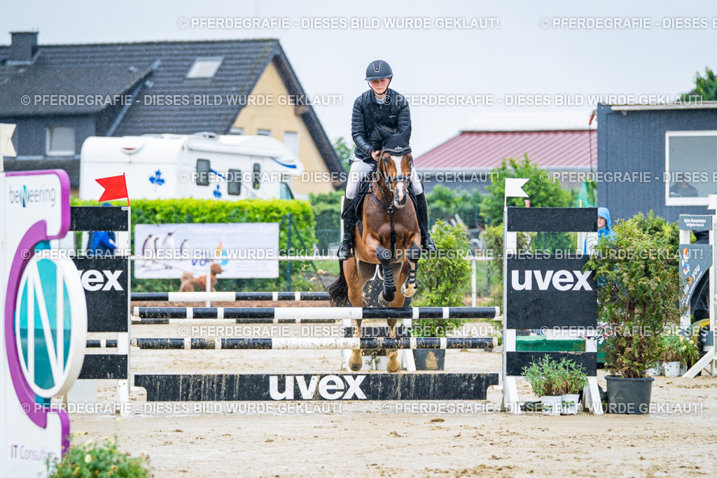 DSC03094 | Pferdegrafie