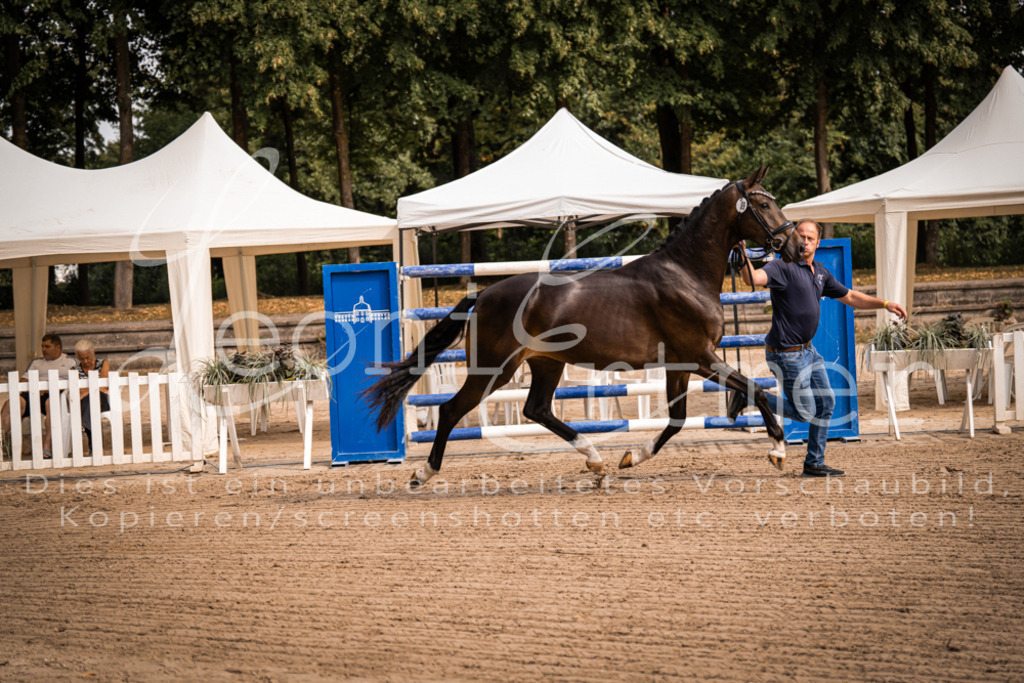 FrER00044 | Leoni Ertmer Photography - Realisiert mit Pictrs.com