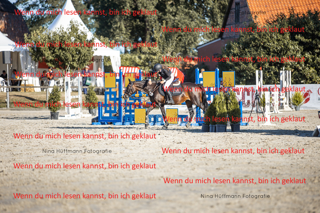 BK1A7858 | Turnierbilder Turnierfotos Nina Hüffmann Turnierfotografie Pferdefotografie Tierzeichnung Haustierzeichnung Pferdezeichnung Hundezeichnung Videograf  - Realisiert mit Pictrs.com
