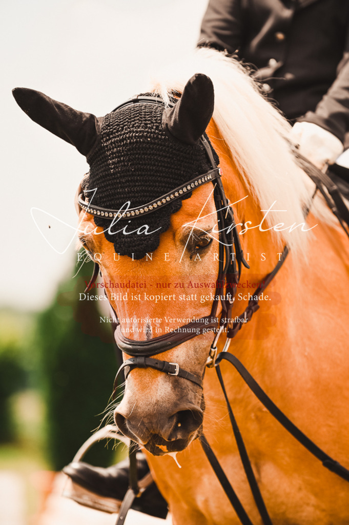 DSC_6370 | Pferde- und Turnierfotografie in Westsachsen. Pferdeportraits, Auftragszeichnungen und intuitive Kunst.