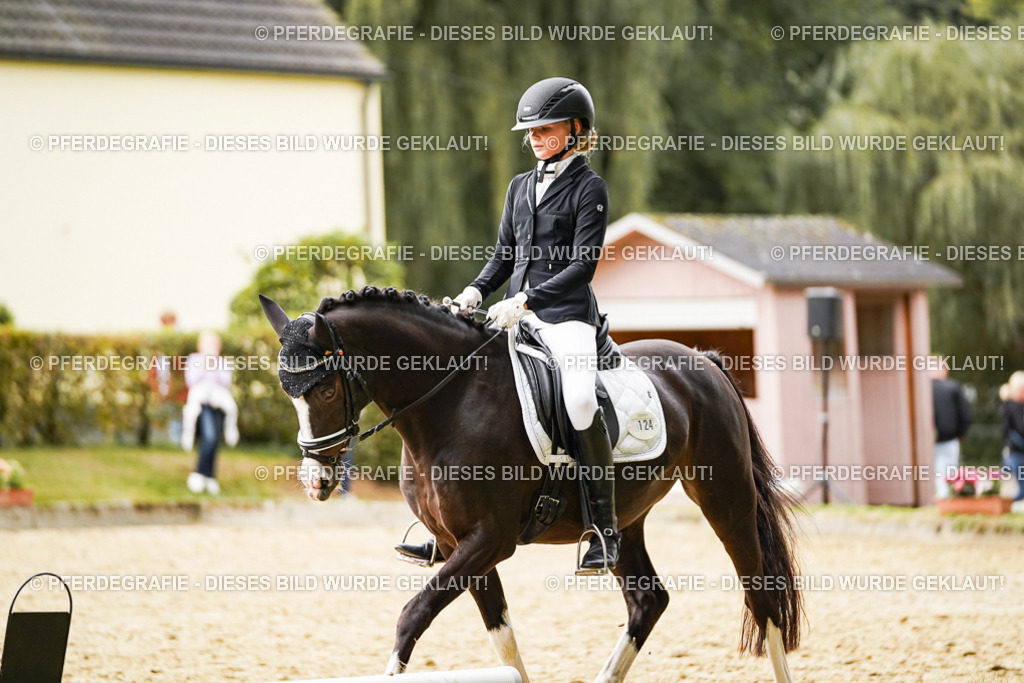 DSC00097 | Pferdegrafie