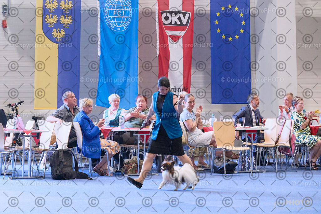 202406_ÖKV-IHA-Tulln24_DSC_3666 | proPHOTO - Realisiert mit Pictrs.com