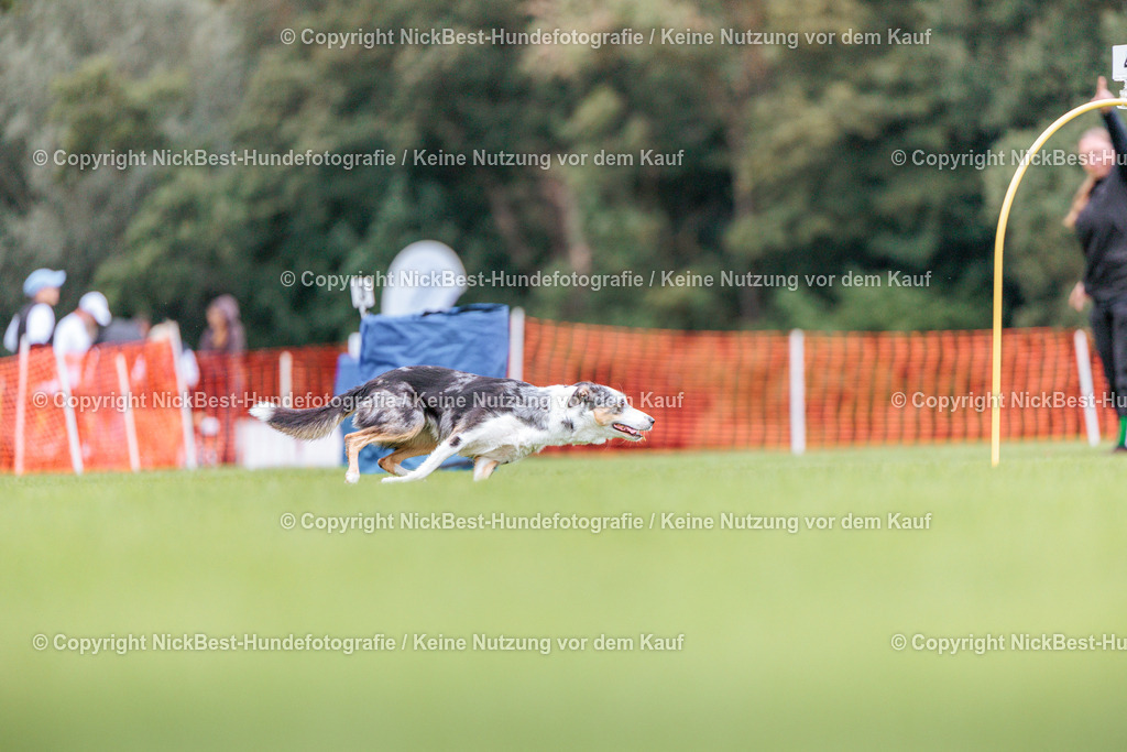 BSP Hoopers-H2-2026-Nickbest-Hundefotografie-TuS Komet Arsten e.V.-3873 | Dein Hund! Dein Moment! Deine Erinnerungen! Hundefotografie in Bremen Blumenthal. Ich fange die besonderen Momente deines Vierbeiners ein – ob Indoor mit Blitzanlage oder in der freien Natur. Sicher dir dein Moment und dein Termin für eure Erinnerungen.