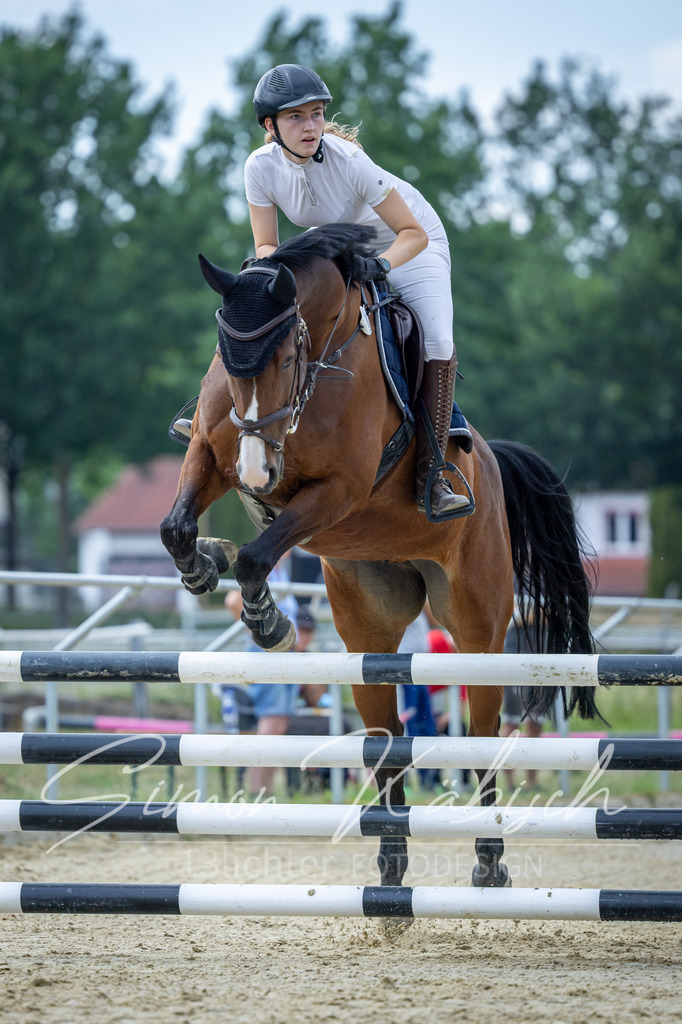 20260704-_3LI1383 | Tierfotografie Pferde, Hunde, Katzen, Haustiere.
Turnierfotografie Reitturniere, Reiten, Springreiten, Dressur in Hanau, dem Main-Kinzig-Kreis und dem Rhein-Main- Gebiet um Frankfurt